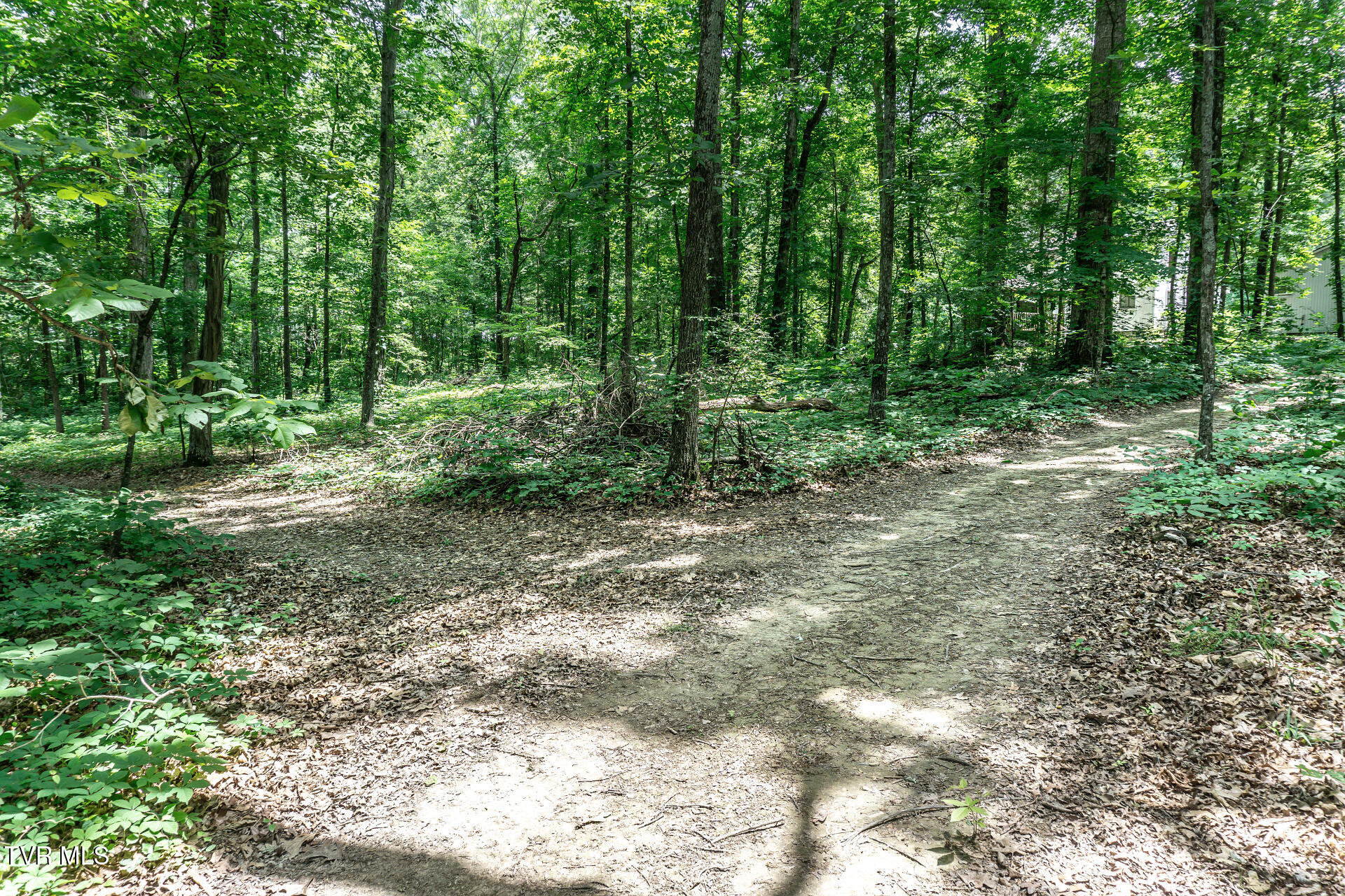 835 Pike Road Greeneville, TN 37745 - Photo 57 of 63 835PikeRdB_055