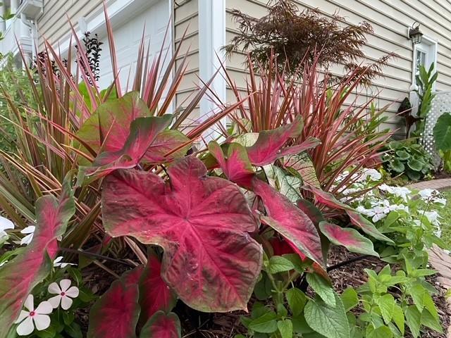 743 Bent Hickory Road Charleston, SC 29414 - Photo 9 of 43 27