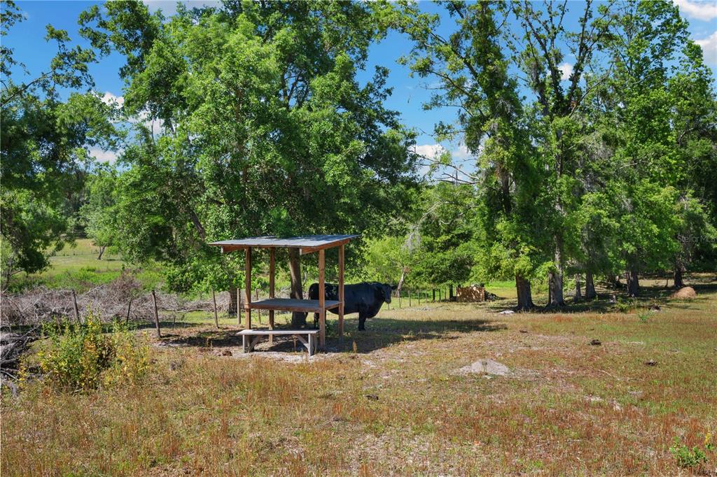 30723 Reed Road Dade City, FL 33523 - Photo 63 of 93 Gallery Image 63