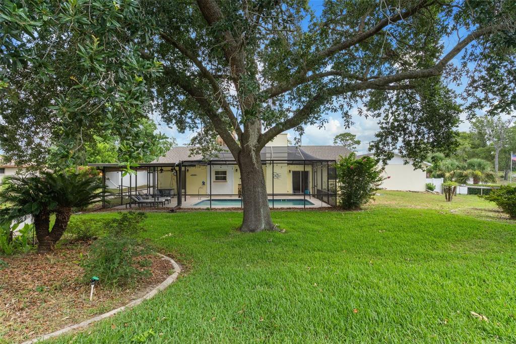 12380 Trout Circle Spring Hill, FL 34609 - Photo 50 of 59