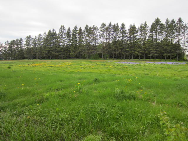661 Lake Shore Road St. David, ME 04773 - Photo 12 of 15 IMG_5027