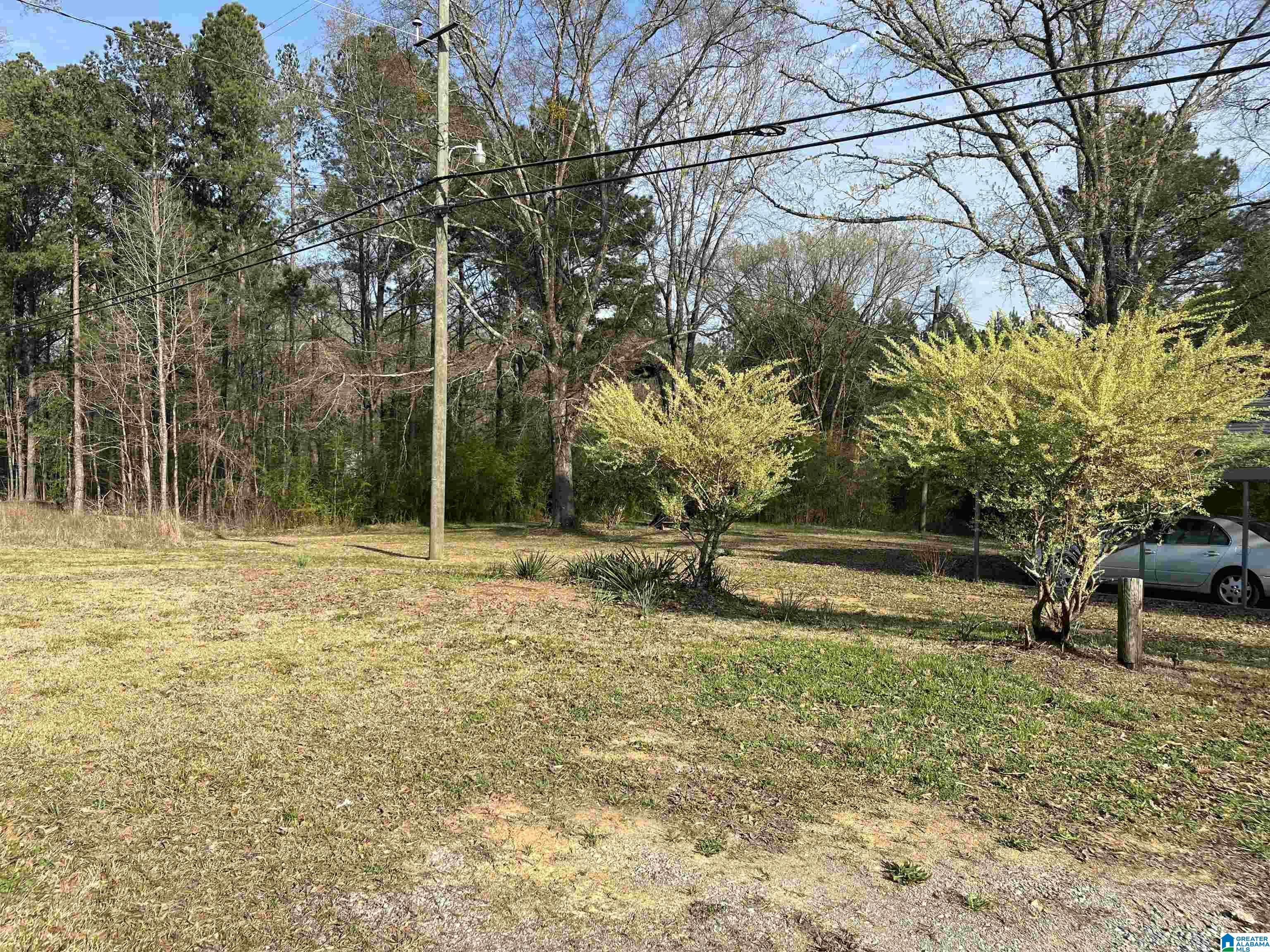3289 Westover Road Sterrett, AL 35147 - Photo 6 of 31