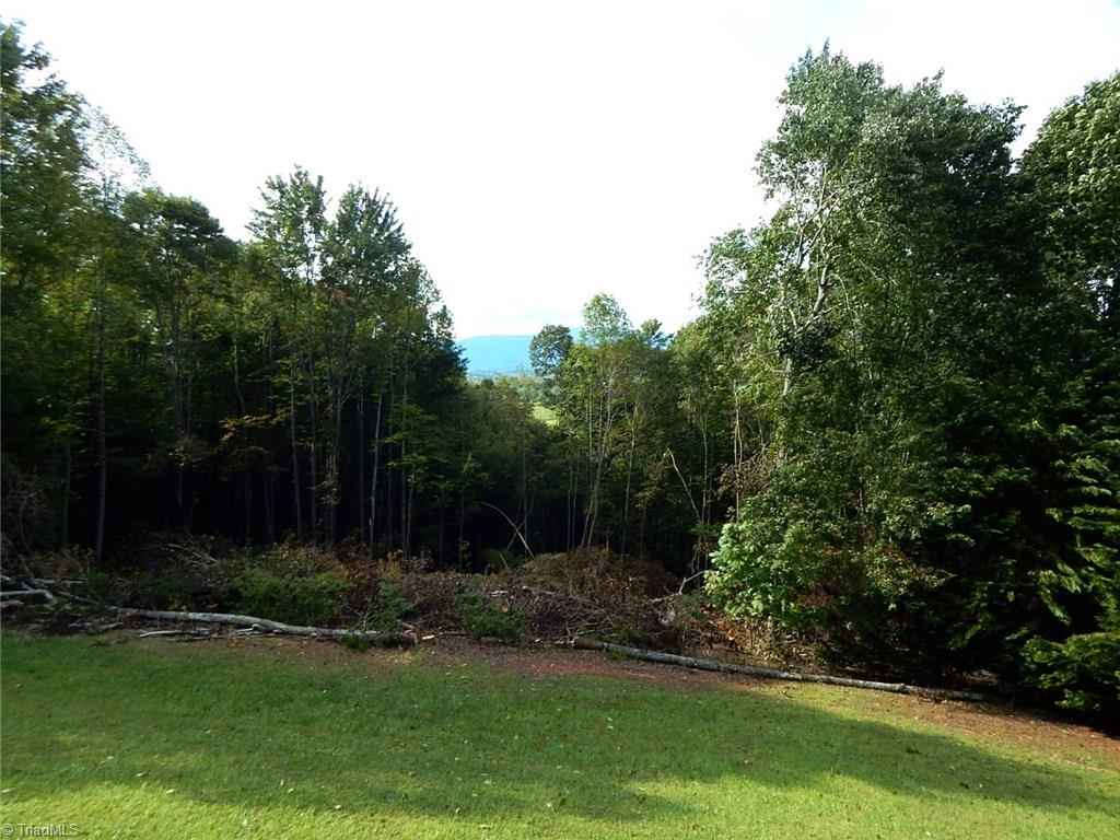 568 Whisper Ridge Lane Elkin, NC 28621 - Photo 11 of 29 Gallery Image 11