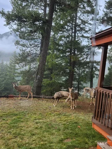 $1,395,000 | 325 Wambli Wahohpi, Cocolalla, ID 83813