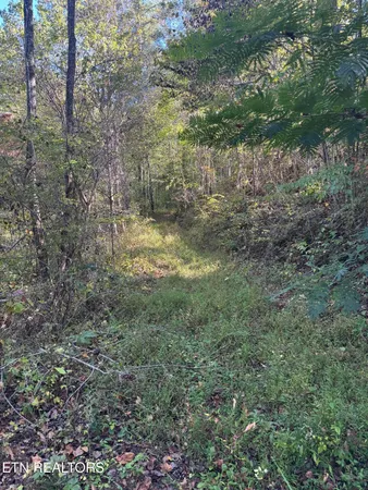 $50,000 | 251 Mine Hollow Road, Reliance, TN 37369