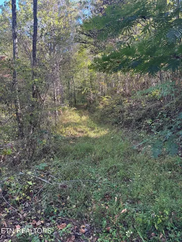 $50,000 | 251 Mine Hollow Road, Reliance, TN 37369