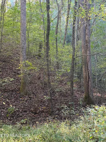 $50,000 | 251 Mine Hollow Road, Reliance, TN 37369