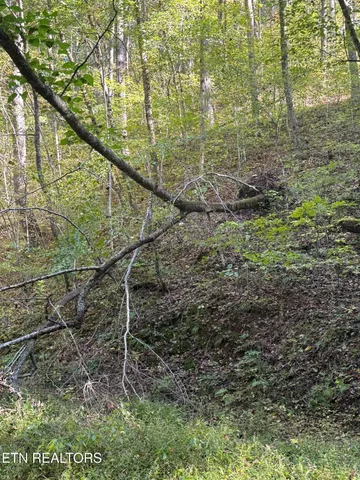 $50,000 | 251 Mine Hollow Road, Reliance, TN 37369
