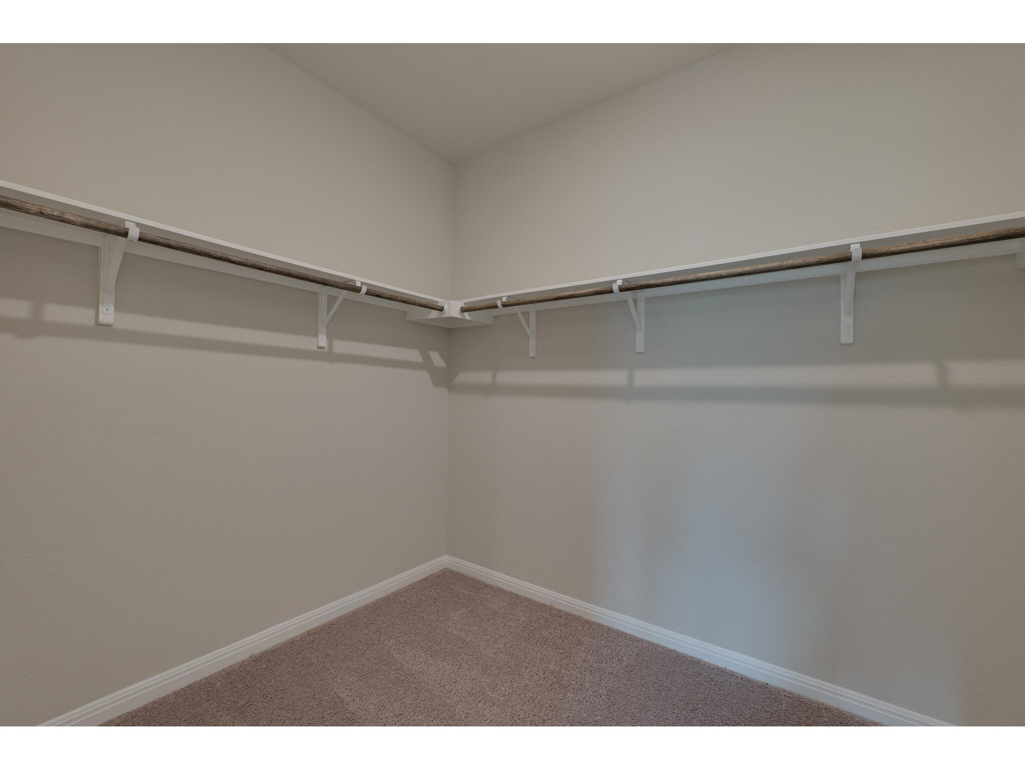111 Grapefruit Road Hutto, TX 78634 - Photo 23 of 39 Walk in closet featuring carpet flooring