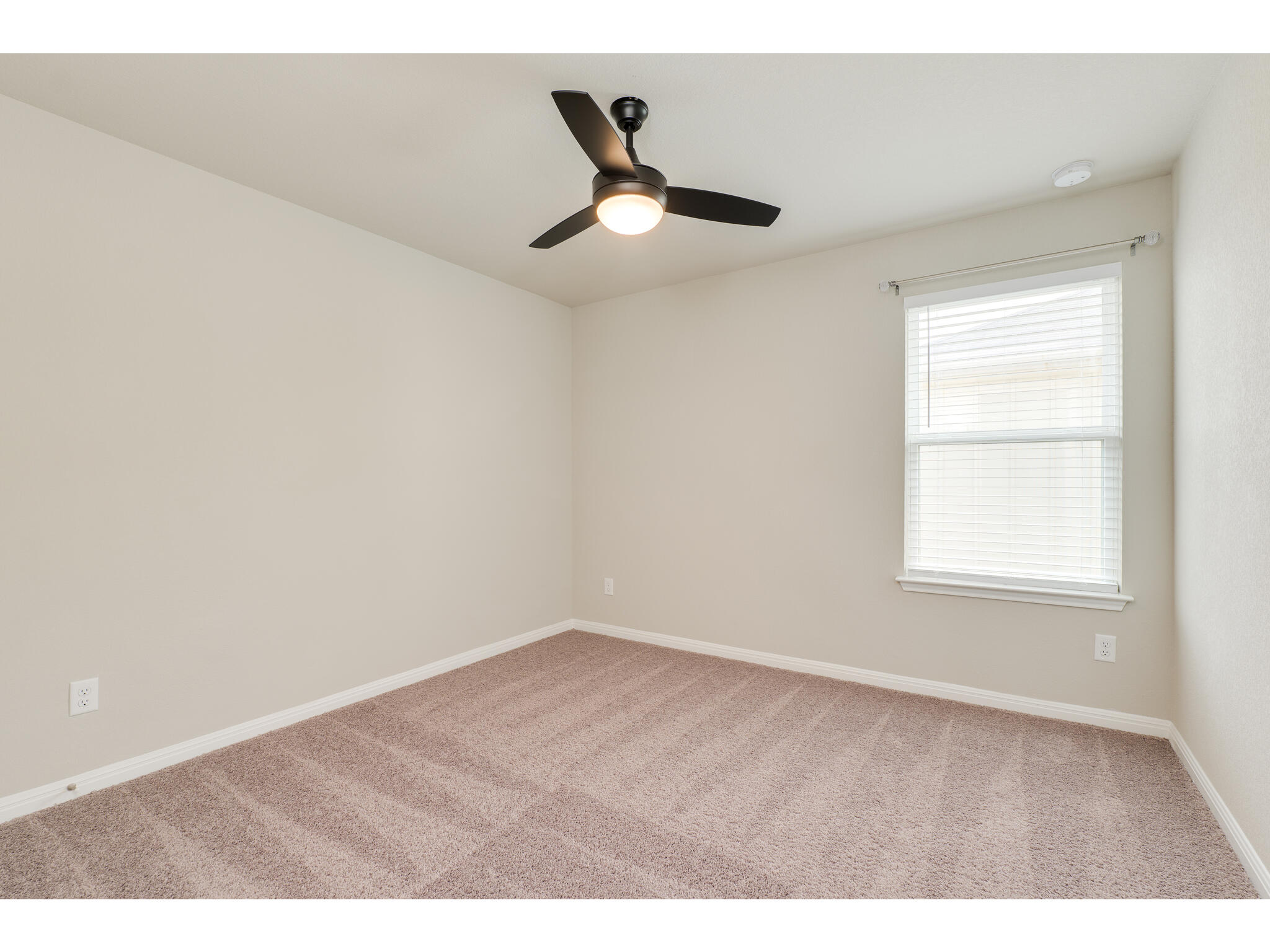 111 Grapefruit Road Hutto, TX 78634 - Photo 31 of 39 Empty room with carpet flooring, ceiling fan, and baseboards