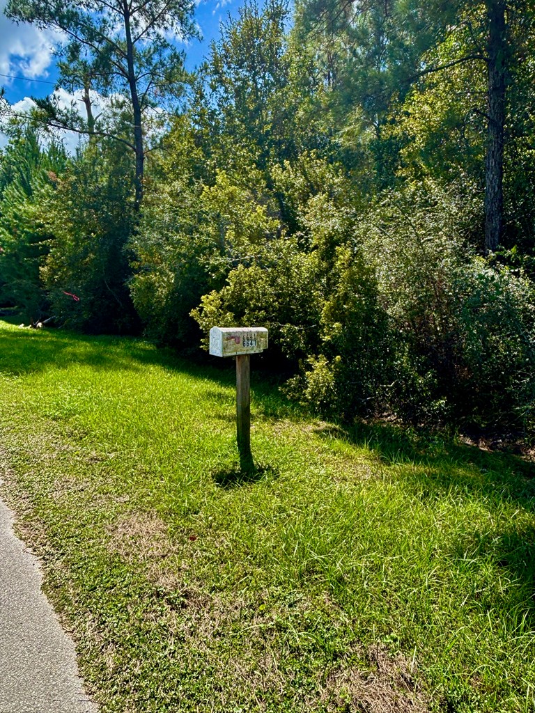 6641 Farm Road Wewahitchka, FL 32465 - Photo 12 of 12