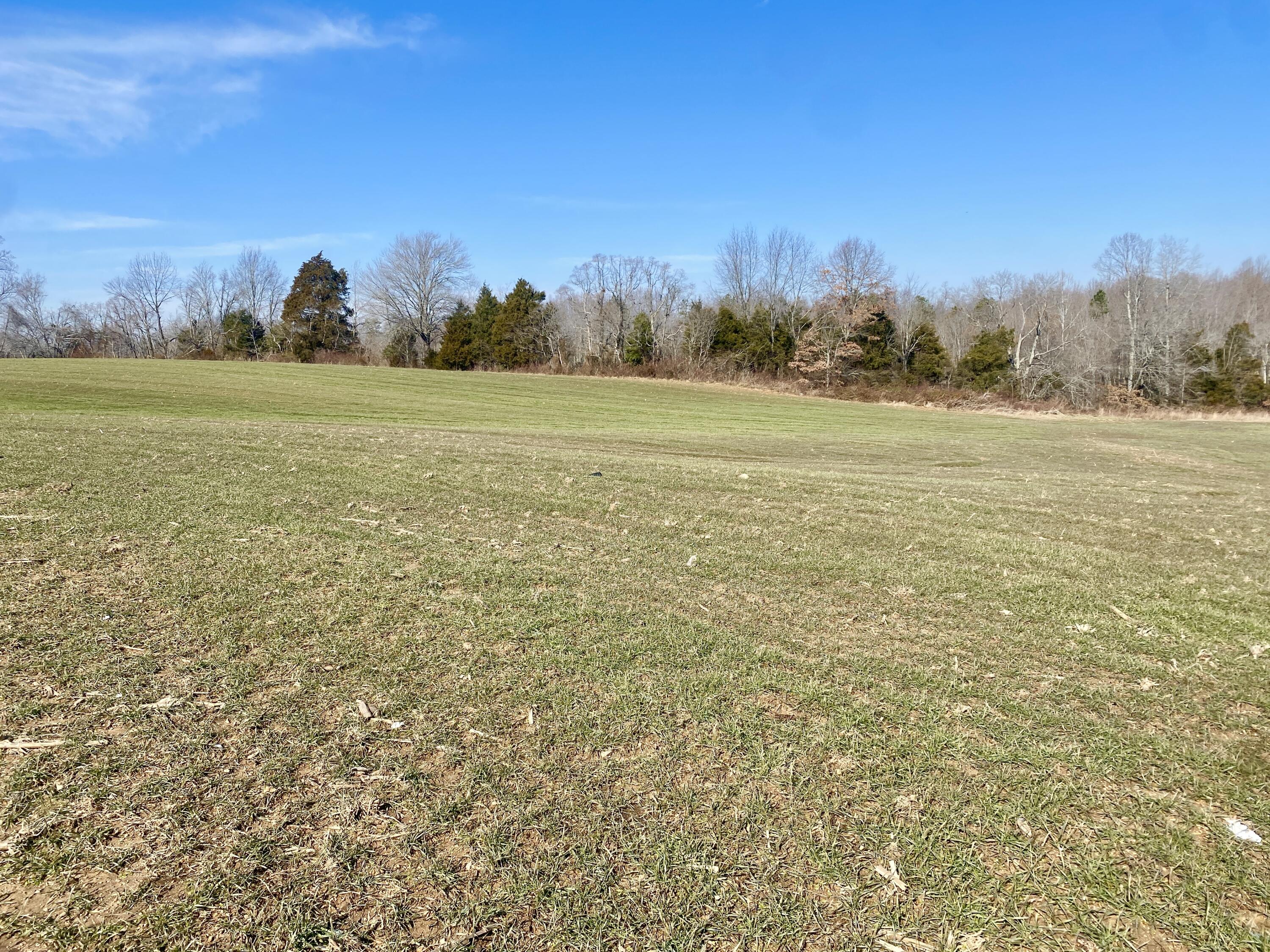 1965 Estill Hackney Road Eubank, KY 42567 - Photo 32 of 48 IMG_5219