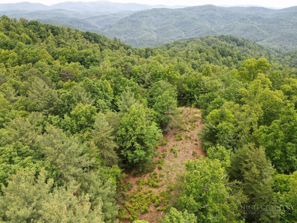 22 Elk Ridge Road Ferguson, NC 28624 - Photo 4 of 16 a view of a big yard with lots of green space