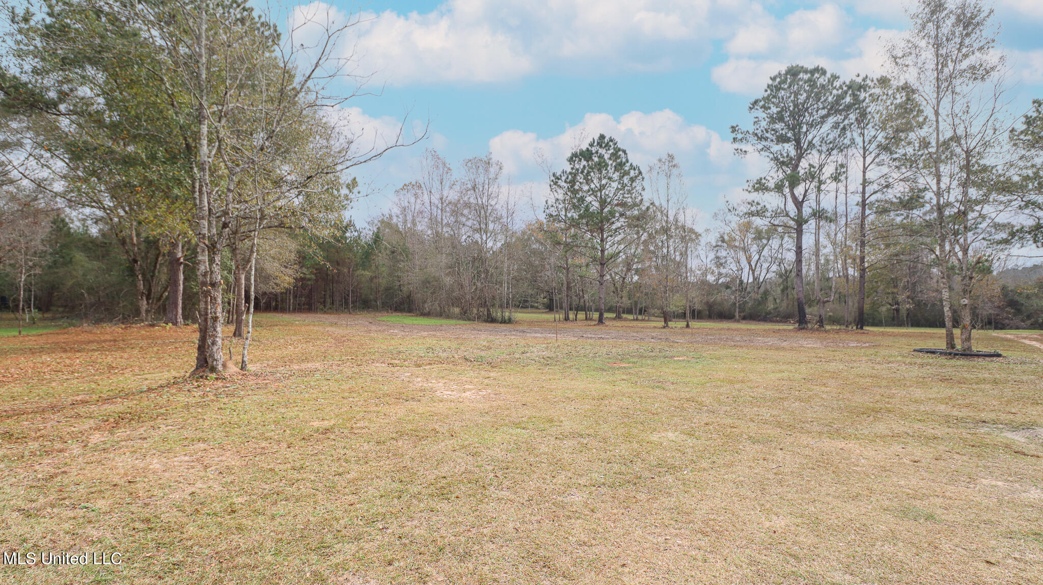 507 Wire Road East Perkinston, MS 39573 - Photo 13 of 21 Sunflower-4916