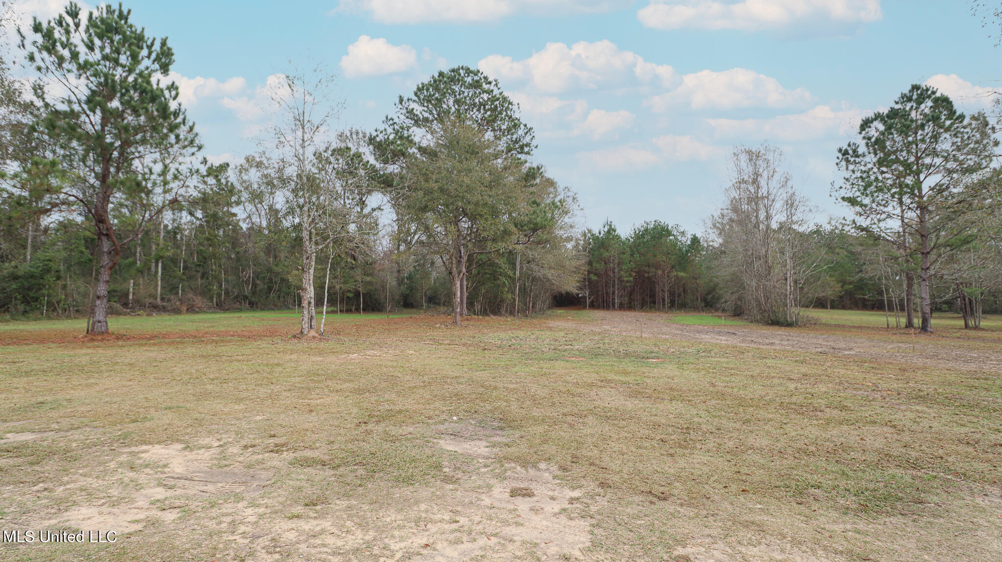 507 Wire Road East Perkinston, MS 39573 - Photo 19 of 21 Sunflower-4922