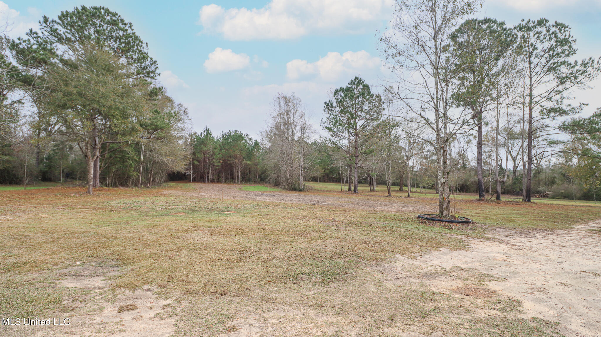 507 Wire Road East Perkinston, MS 39573 - Photo 20 of 21 Sunflower-4923