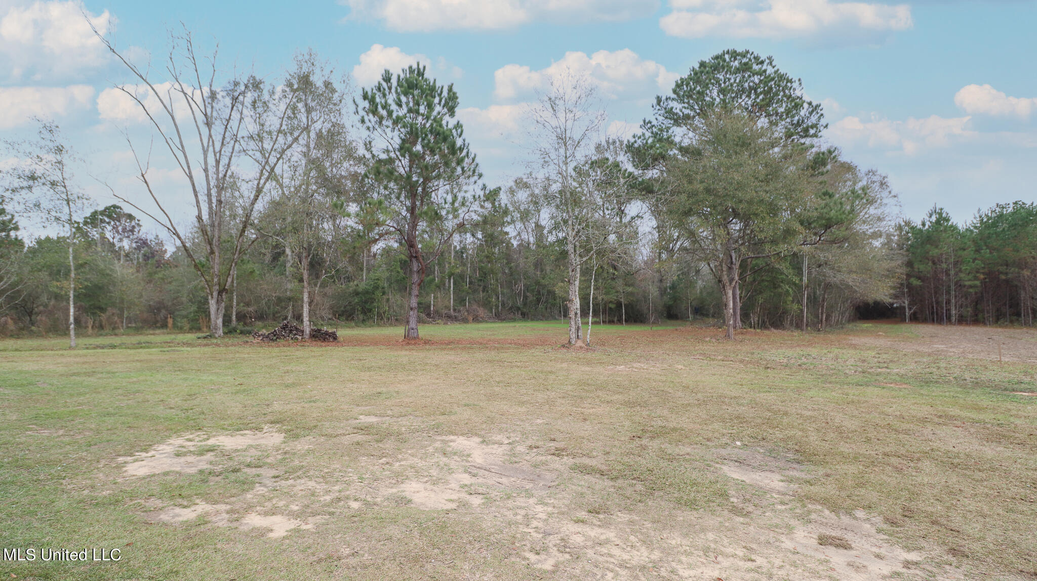 507 Wire Road East Perkinston, MS 39573 - Photo 21 of 21 Sunflower-4924