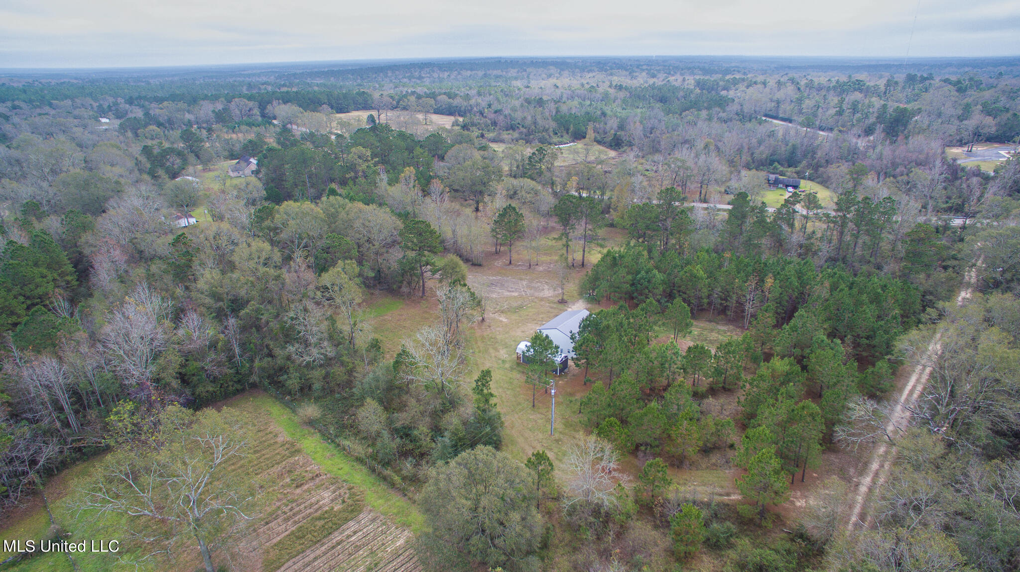 507 Wire Road East Perkinston, MS 39573 - Photo 4 of 21 Sunflower-4902