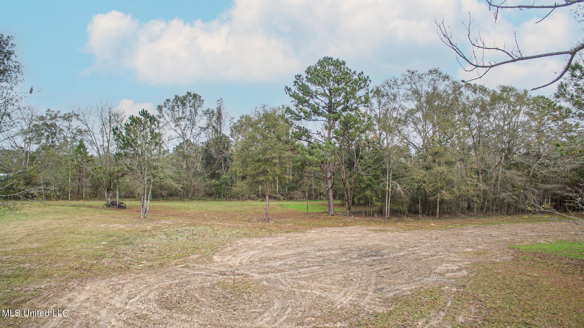 507 Wire Road East Perkinston, MS 39573 - Photo 5 of 21 Sunflower-4904