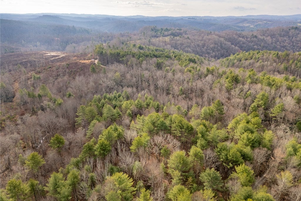 0 Marian Road Dugspur, VA 24325 - Photo 27 of 31 Gallery Image 27