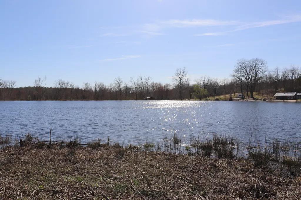 9999 Randolph Creek Road New Canton, VA 23123 - Photo 17 of 81 Gallery Image 17