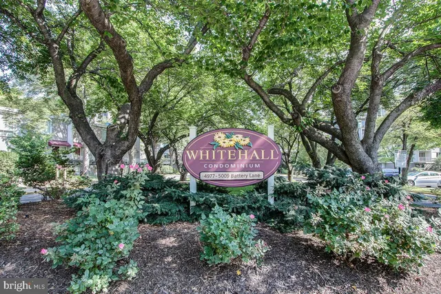 a view of outdoor space yard and swimming pool