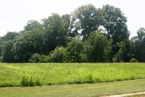 1422 Erie Church Road Bedford, IN 47421 - Photo 24 of 26 Gallery Image 24