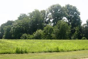 1422 Erie Church Road Bedford, IN 47421 - Photo 4 of 26 Gallery Image 4