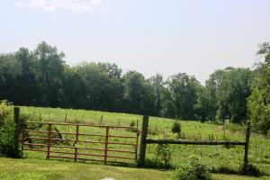 1422 Erie Church Road Bedford, IN 47421 - Photo 5 of 26 Gallery Image 5
