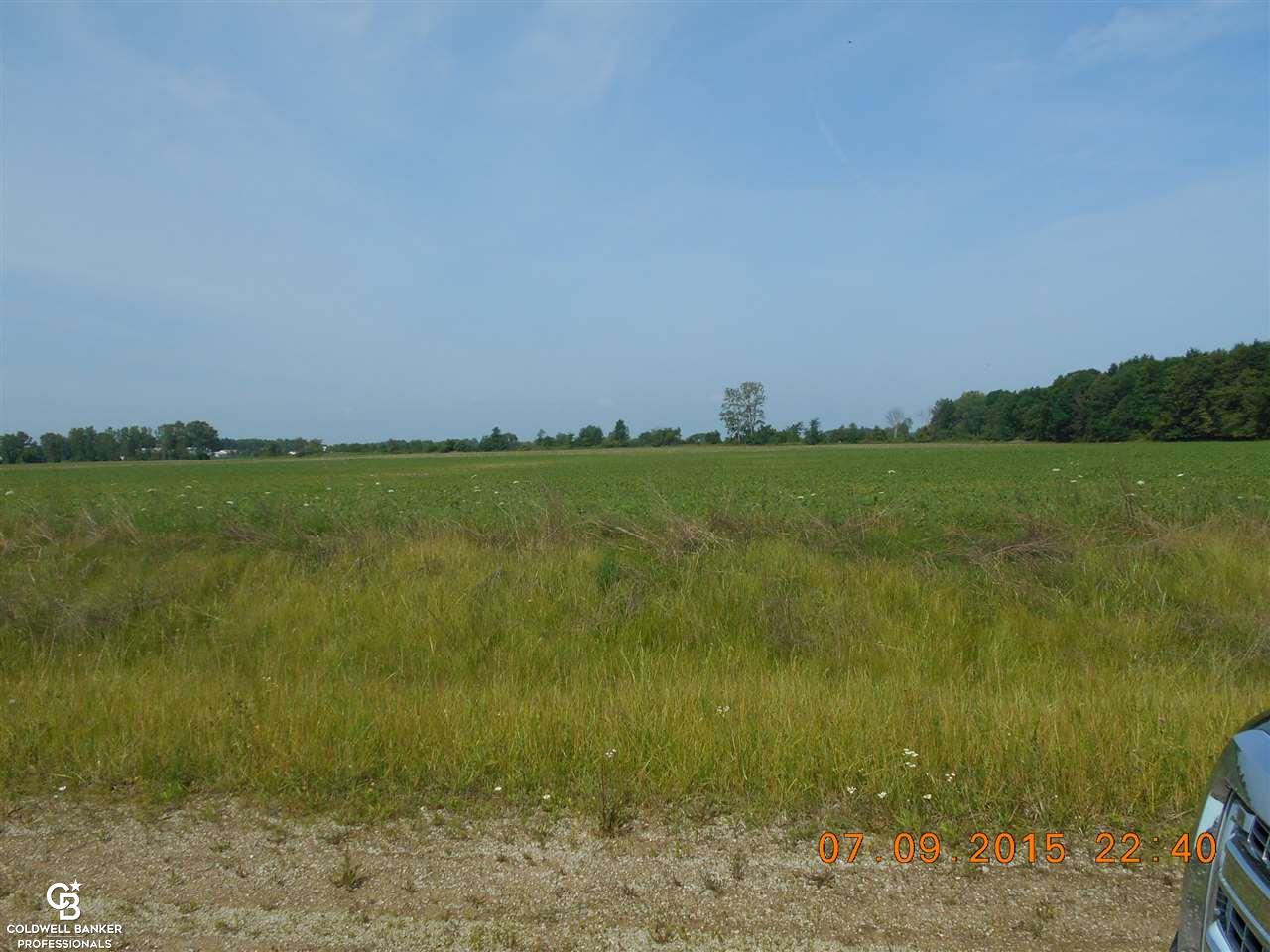 0 Burrwood Road, Unit 9 Memphis, MI 48041 - Photo 3 of 5