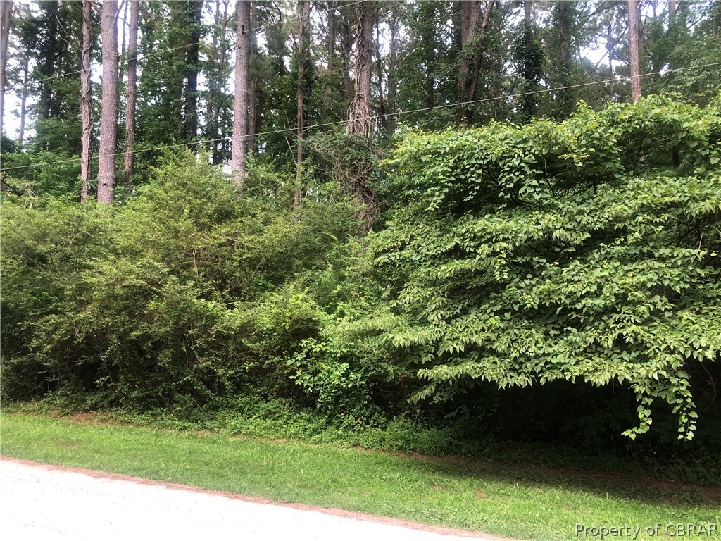 0 Sanders Landing Road North, VA 23128 - Photo 12 of 14