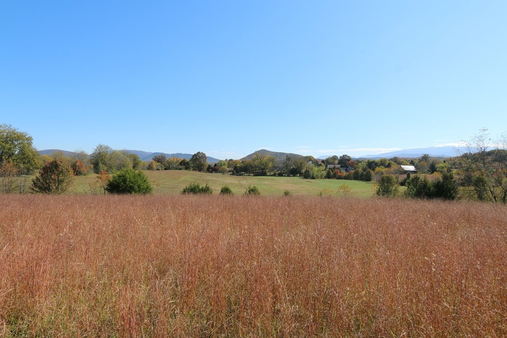 804 Harrisburg Road Sevierville, TN 37876 - Photo 14 of 30 Gallery Image 14