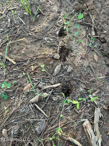 $390,000 | 201 Holt Potts Camp, Potts Camp, MS 38659