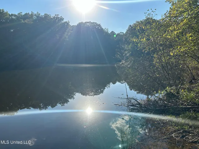 $390,000 | 201 Holt Potts Camp, Potts Camp, MS 38659