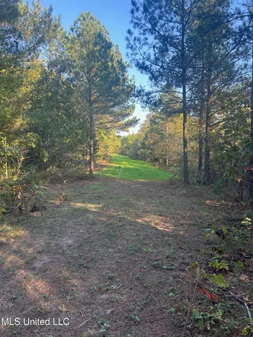 $390,000 | 201 Holt Potts Camp, Potts Camp, MS 38659