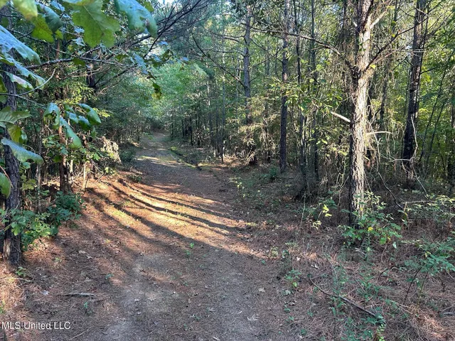$390,000 | 201 Holt Potts Camp, Potts Camp, MS 38659