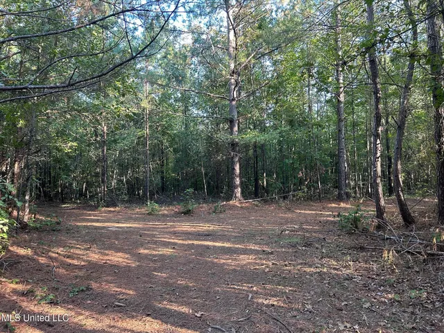 $390,000 | 201 Holt Potts Camp, Potts Camp, MS 38659