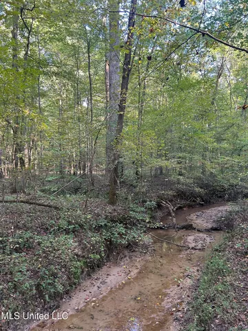 $390,000 | 201 Holt Potts Camp, Potts Camp, MS 38659