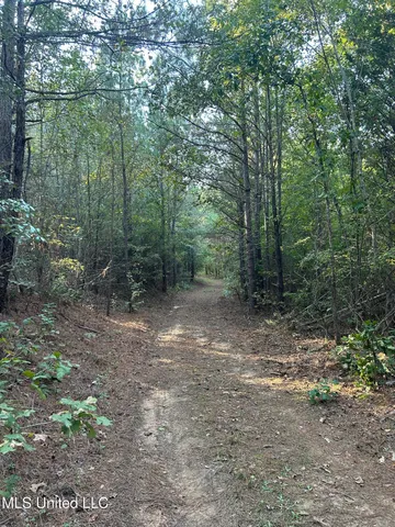 $390,000 | 201 Holt Potts Camp, Potts Camp, MS 38659