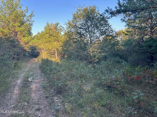 $390,000 | 201 Holt Potts Camp, Potts Camp, MS 38659