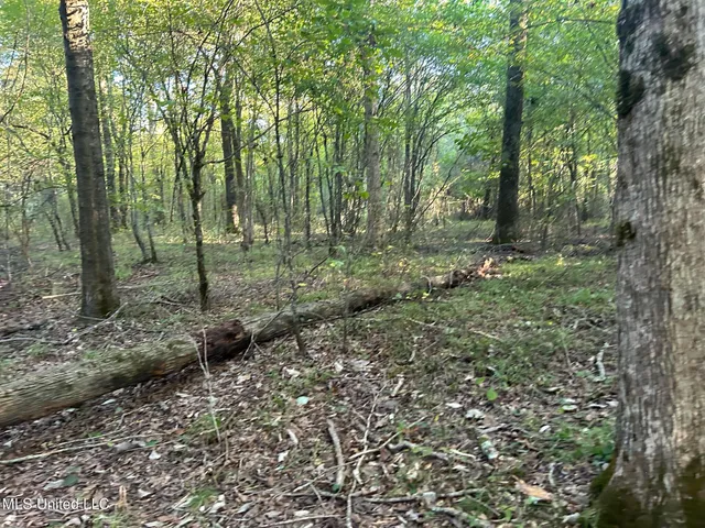 $390,000 | 201 Holt Potts Camp, Potts Camp, MS 38659