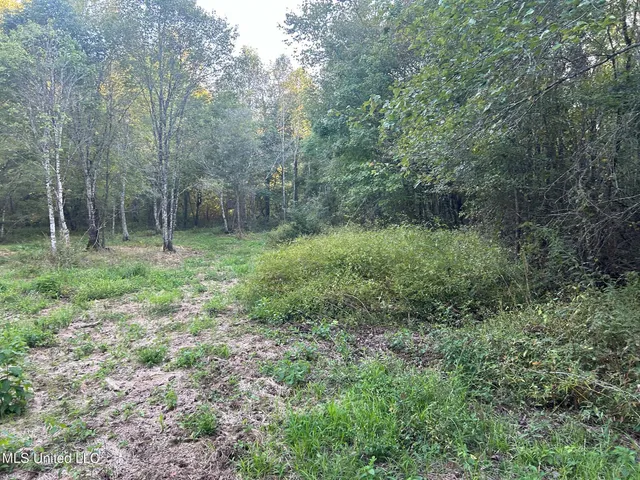 $390,000 | 201 Holt Potts Camp, Potts Camp, MS 38659