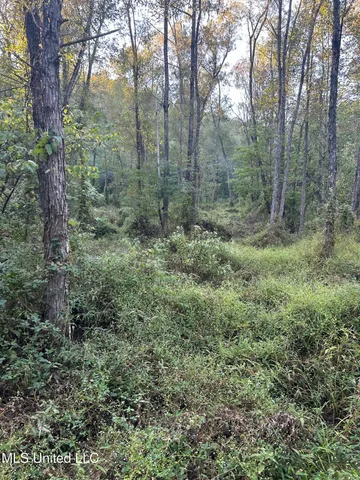 $390,000 | 201 Holt Potts Camp, Potts Camp, MS 38659