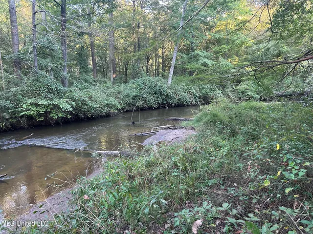 $390,000 | 201 Holt Potts Camp, Potts Camp, MS 38659