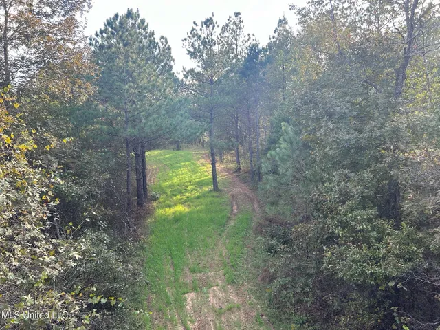 $390,000 | 201 Holt Potts Camp, Potts Camp, MS 38659