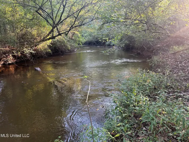 $390,000 | 201 Holt Potts Camp, Potts Camp, MS 38659