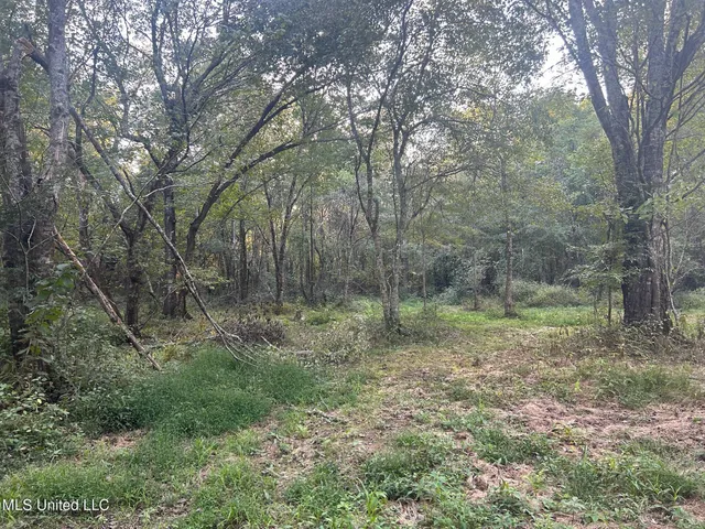 $390,000 | 201 Holt Potts Camp, Potts Camp, MS 38659