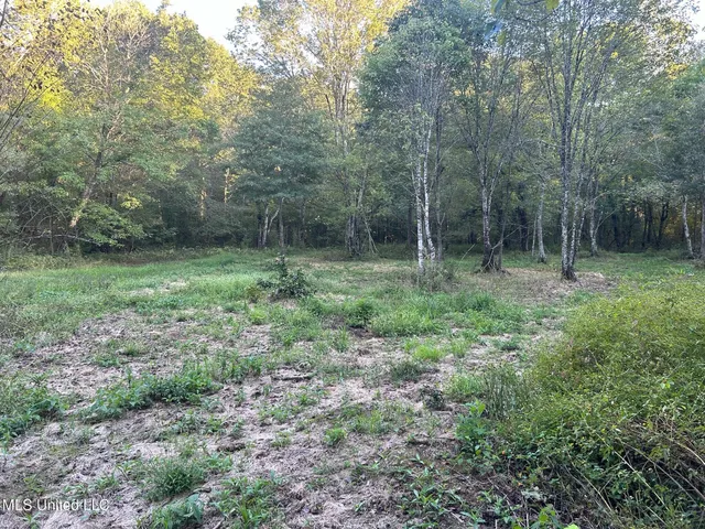 $390,000 | 201 Holt Potts Camp, Potts Camp, MS 38659