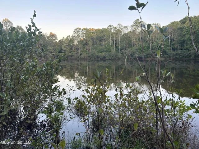 $390,000 | 201 Holt Potts Camp, Potts Camp, MS 38659