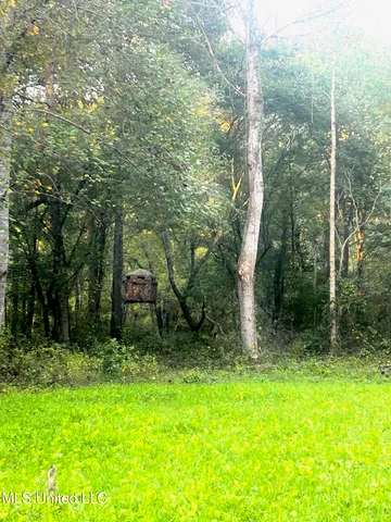 $390,000 | 201 Holt Potts Camp, Potts Camp, MS 38659